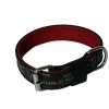 Martin Sellier - Collier En Cuir Boston Avec Sangle De 25mm Pour Chien - 45cm