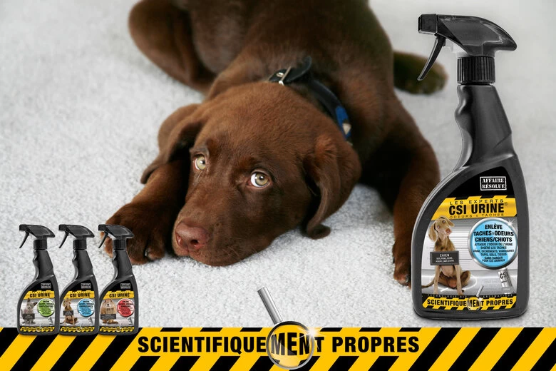 CSI Urine - Nettoyant Enzymatique Pour Chien - 500ml 2 CSI Urine - Nettoyant Enzymatique Pour Chien - 500ml – Image 2