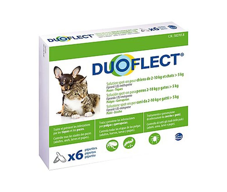 Duoflect - Pipettes Antiparasitaire De 2 à 10Kg Pour Chien Et Chat - X6 1 Duoflect - Pipettes Antiparasitaire De 2 à 10Kg Pour Chien Et Chat - X6
