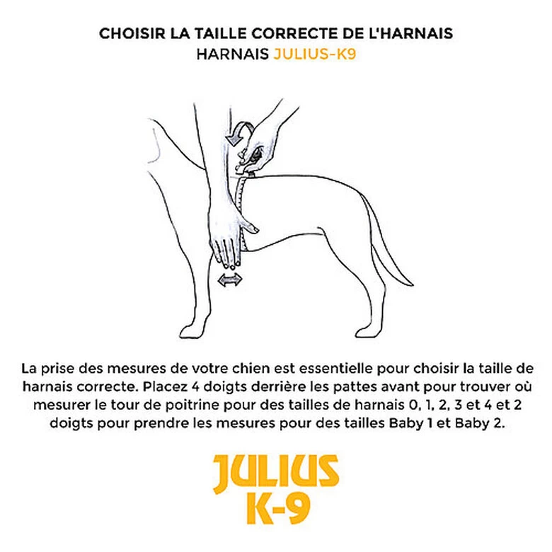 Julius K9 Julius-K9 - Harnais Power M De 66-85cm Pour Chien - Rouge 3 Julius K9 Julius-K9 - Harnais Power M De 66-85cm Pour Chien - Rouge – Image 3