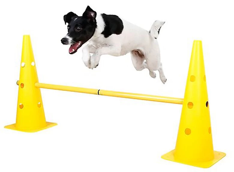 Kerbl - Parcours D'Obstacle Agility Pour Chiens 2 Kerbl - Parcours D'Obstacle Agility Pour Chiens – Image 2