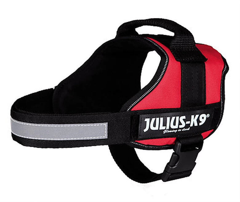 Julius K9 Julius-K9 - Harnais Power M De 66-85cm Pour Chien - Rouge 1 Julius K9 Julius-K9 - Harnais Power M De 66-85cm Pour Chien - Rouge