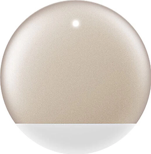 Petkit - Capteur D'Activité FIT P2 Pour Chien - Or 1 Petkit - Capteur D'Activité FIT P2 Pour Chien - Or