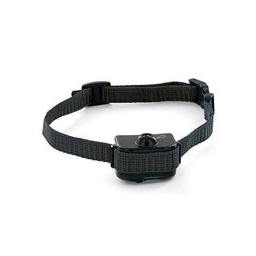 PetSafe - Collier Anti-aboiement Spray Petit/moyen Chien 2 PetSafe - Collier Anti-aboiement Spray Petit/moyen Chien – Image 2