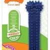 Nylabone - Jouet Os Dental Moderate Chew Pour Chien - M