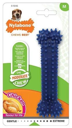 Nylabone - Jouet Os Dental Moderate Chew Pour Chien - M
