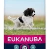 Eukanuba - Croquettes Au Poulet Pour Chien Adulte De Taille Moyenne - 15Kg