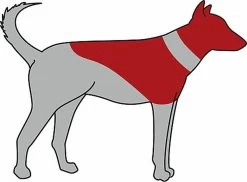 Trixie - Collerette De Protection Gonflable Pour Chien - XS -Pet Soldes 27789