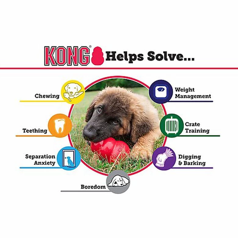 KONG - Jouet Puppy Pour Chiot 5 KONG - Jouet Puppy Pour Chiot – Image 5