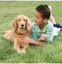 PetSafe - Clôture Anti-fugue Radio Fence Pour Chien -Pet Soldes 29082