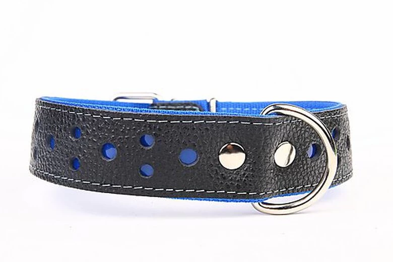 Yogipet - Collier Large Réfléchissant Cuir Pour Chien - Bleu 1 Yogipet - Collier Large Réfléchissant Cuir Pour Chien - Bleu