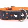 Yogipet - Collier Large Réfléchissant Cuir Pour Chien - Orange