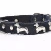 Yogipet - Collier Teckel Cuir Nylon Pour Chien - Noir