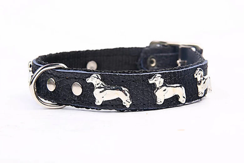 Yogipet - Collier Teckel Cuir Nylon Pour Chien - Noir 1 Yogipet - Collier Teckel Cuir Nylon Pour Chien - Noir