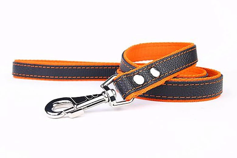 Yogipet - Laisse En Cuir Avec Nylon 120cm Pour Chien - Orange 1 Yogipet - Laisse En Cuir Avec Nylon 120cm Pour Chien - Orange