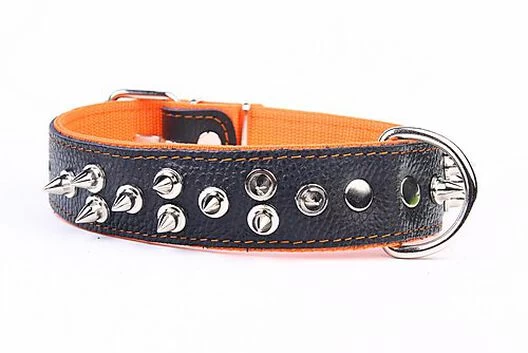 Yogipet - Collier Large Cuir Pointe Pour Chien - Orange 1 Yogipet - Collier Large Cuir Pointe Pour Chien - Orange