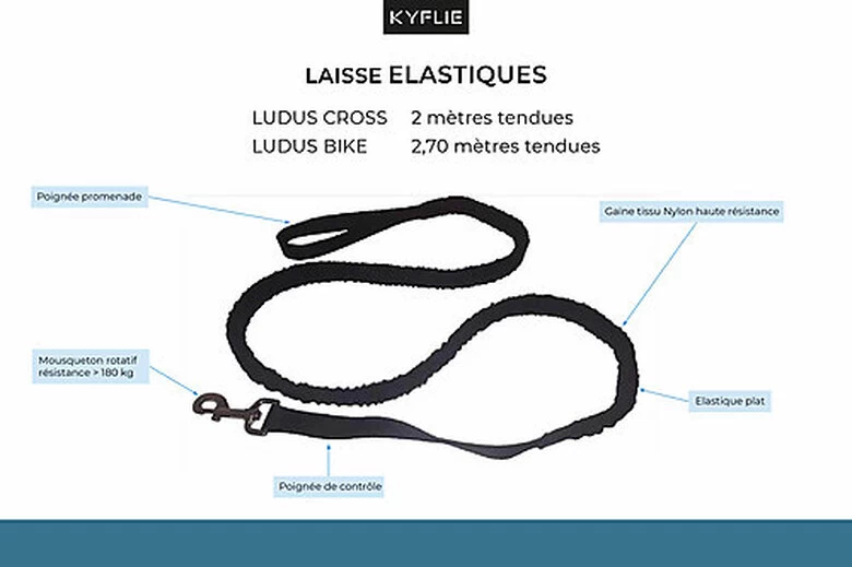 Kyflie - Laisse élastique Anti-chocs LUDUS BIKE Noir Pour Chien - 2,70m 2 Kyflie - Laisse élastique Anti-chocs LUDUS BIKE Noir Pour Chien - 2,70m – Image 2
