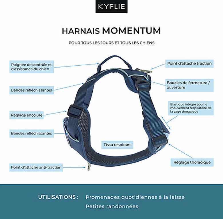 Kyflie - Harnais De Promenade MOMENTUM Rose Pour Chien 2 Kyflie - Harnais De Promenade MOMENTUM Rose Pour Chien – Image 2