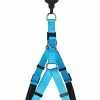 Animalis - Harnais Basic Confort T2 20mm Et 57/75cm Pour Chien - Bleu