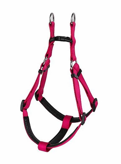 Animalis - Harnais Basic Confort T2 20mm Et 57/75cm Pour Chien - Fuchsia 2 Animalis - Harnais Basic Confort T2 20mm Et 57/75cm Pour Chien - Fuchsia – Image 2