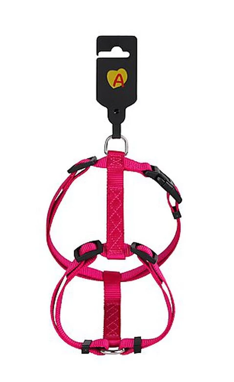 Animalis - Harnais Basic T3 25mm Et 63/97cm Pour Chien - Fuchsia 2 Animalis - Harnais Basic T3 25mm Et 63/97cm Pour Chien - Fuchsia – Image 2
