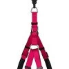 Animalis - Harnais Basic Confort T4 40mm Et 96/120cm Pour Chien - Fuchsia