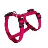 Animalis - Harnais Basic T3 25mm Et 63/97cm Pour Chien - Fuchsia