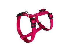 Animalis - Harnais Basic T3 25mm Et 63/97cm Pour Chien - Fuchsia