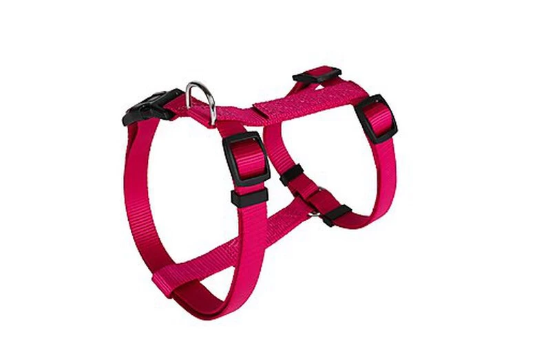 Animalis - Harnais Basic T3 25mm Et 63/97cm Pour Chien - Fuchsia 1 Animalis - Harnais Basic T3 25mm Et 63/97cm Pour Chien - Fuchsia