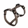 Animalis - Harnais Basic T3 25mm Et 63/97cm Pour Chien - Taupe