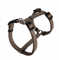 Animalis - Harnais Basic T3 25mm Et 63/97cm Pour Chien - Taupe