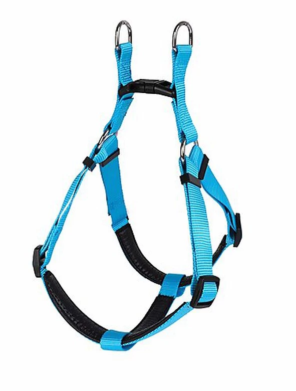 Animalis - Harnais Basic Confort T2 20mm Et 57/75cm Pour Chien - Bleu 2 Animalis - Harnais Basic Confort T2 20mm Et 57/75cm Pour Chien - Bleu – Image 2