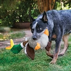KONG - Jouet Canard En Peluche Shakers Honkers Duck Pour Chien - L -Pet Soldes 39703