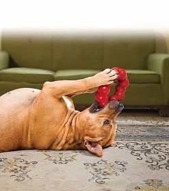 KONG - Jouet Anneau Ring En Caoutchouc Pour Chien - M/L 5 KONG - Jouet Anneau Ring En Caoutchouc Pour Chien - M/L -Pet Soldes 39766