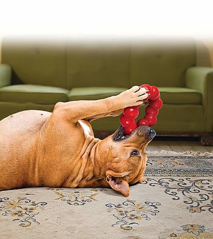 KONG - Jouet Anneau Ring En Caoutchouc Pour Chien - M/L 3 KONG - Jouet Anneau Ring En Caoutchouc Pour Chien - M/L – Image 3