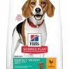 Hill's Science Plan Hill's - Canine Adult Perfect Weight Medium Poulet Pour Chien - 12Kg