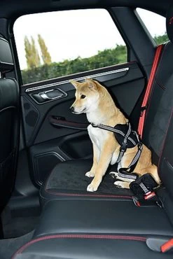 Bobby - Laisse Avec Attache Sécurité Voiture Rouge Pour Chien -Pet Soldes 40684