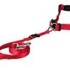 Trixie - Ceinture Ventrale Avec Laisse Pour Chien - Rouge