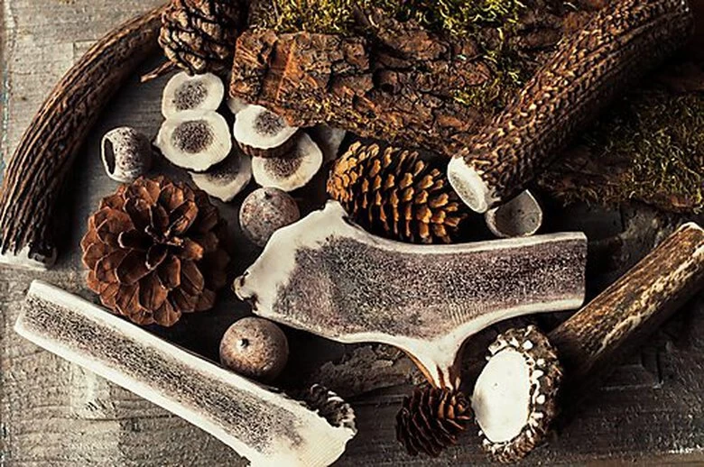 Animalis - Friandise Bois De Cerf Fendu Pour Chien 2 Animalis - Friandise Bois De Cerf Fendu Pour Chien – Image 2