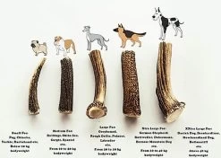 Animalis - Friandise Bois De Cerf Entier Pour Chien 6 Animalis - Friandise Bois De Cerf Entier Pour Chien -Pet Soldes 41022