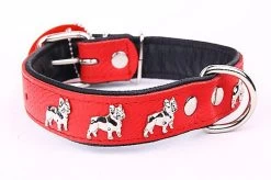 Yogipet - Collier Super Bouledogue Français Cuir Pour Chien - Rouge 7 Yogipet - Collier Super Bouledogue Français Cuir Pour Chien - Rouge -Pet Soldes 41873