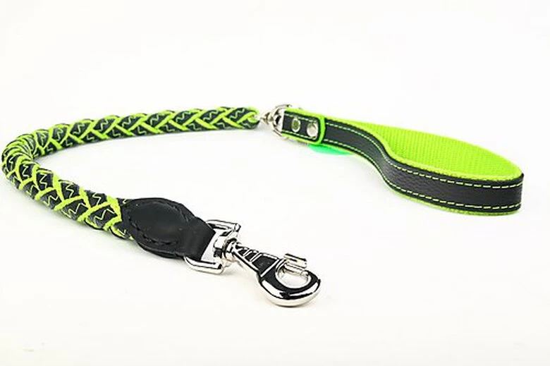 Yogipet - Laisse En Cuir Tressé 120cm Pour Chien - Vert 1 Yogipet - Laisse En Cuir Tressé 120cm Pour Chien - Vert