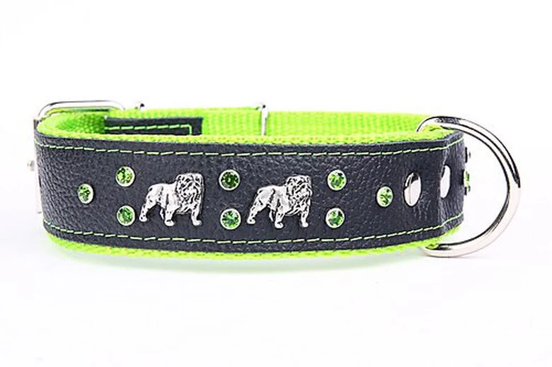 Yogipet - Collier Bulldog Cuir Crystal Pour Chien - Vert 1 Yogipet - Collier Bulldog Cuir Crystal Pour Chien - Vert
