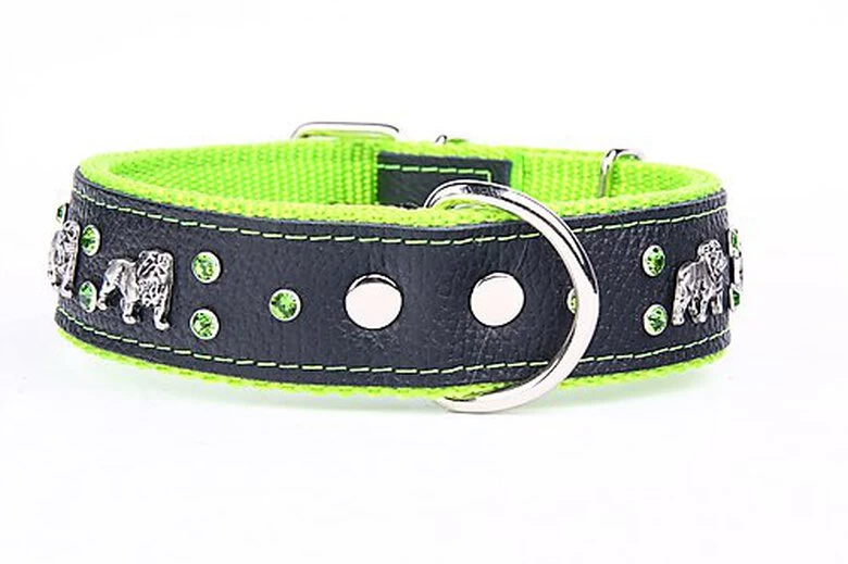 Yogipet - Collier Bulldog Cuir Crystal Pour Chien - Vert 3 Yogipet - Collier Bulldog Cuir Crystal Pour Chien - Vert – Image 3