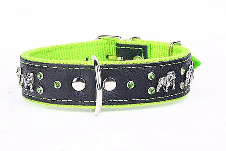 Yogipet - Collier Bulldog Cuir Crystal Pour Chien - Vert 4 Yogipet - Collier Bulldog Cuir Crystal Pour Chien - Vert – Image 4