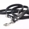 Yogipet - Laisse Ajustable 1,6/220cm Pour Chien - Noir