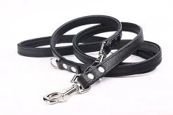 Yogipet - Laisse Ajustable 1,6/220cm Pour Chien - Noir