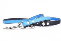 Yogipet - Laisse Ajustable 2/220cm Pour Chien - Bleu 6 Yogipet - Laisse Ajustable 2/220cm Pour Chien - Bleu -Pet Soldes 41941