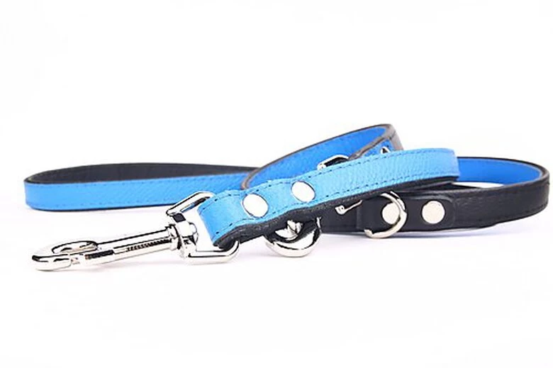 Yogipet - Laisse Ajustable 2/220cm Pour Chien - Bleu 3 Yogipet - Laisse Ajustable 2/220cm Pour Chien - Bleu – Image 3