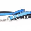 Yogipet - Laisse Ajustable 2/220cm Pour Chien - Bleu